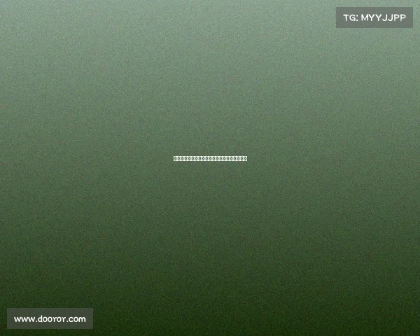 网球赛场背后的不为人知的故事与幕后英雄揭秘