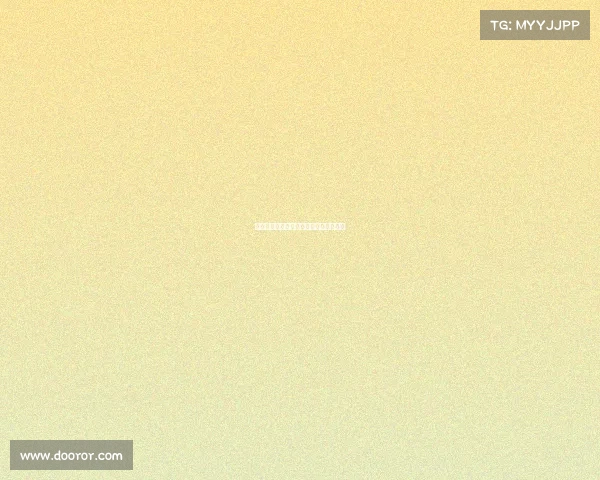 斯图加特：德甲劲旅崛起之路与未来展望